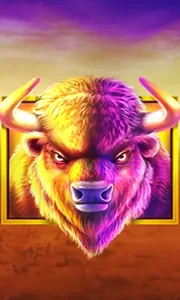 Buffalo King