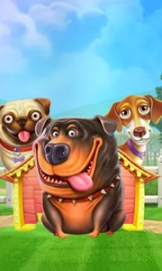 The Dog House